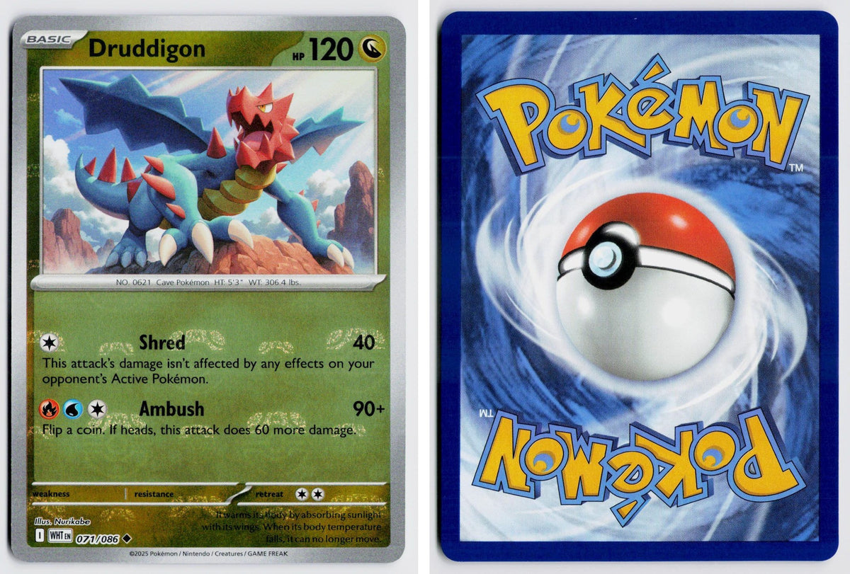 Front + Back scan