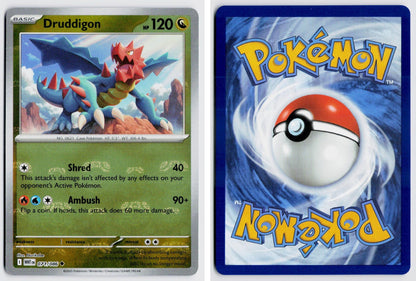 Front + Back scan