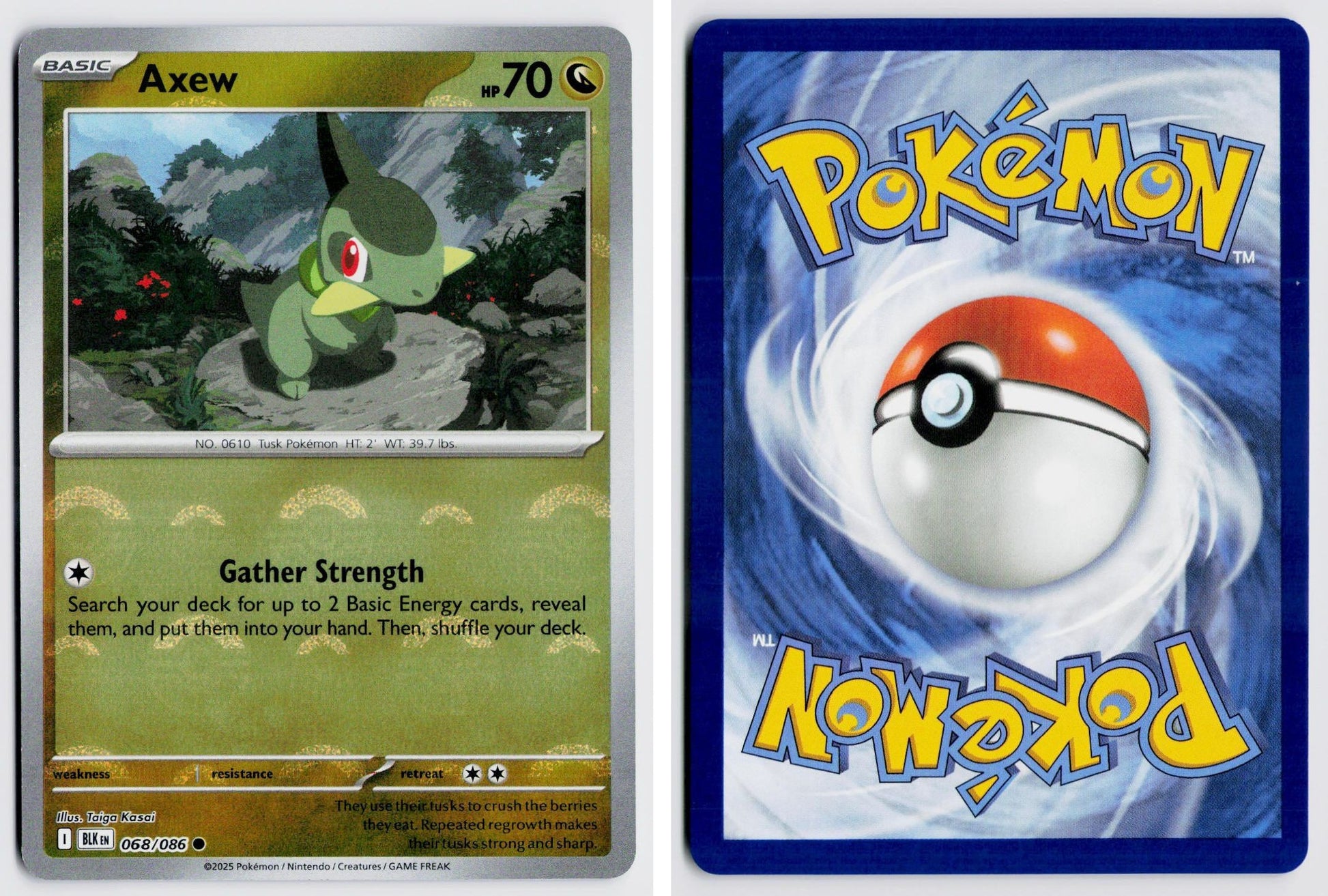Front + Back scan