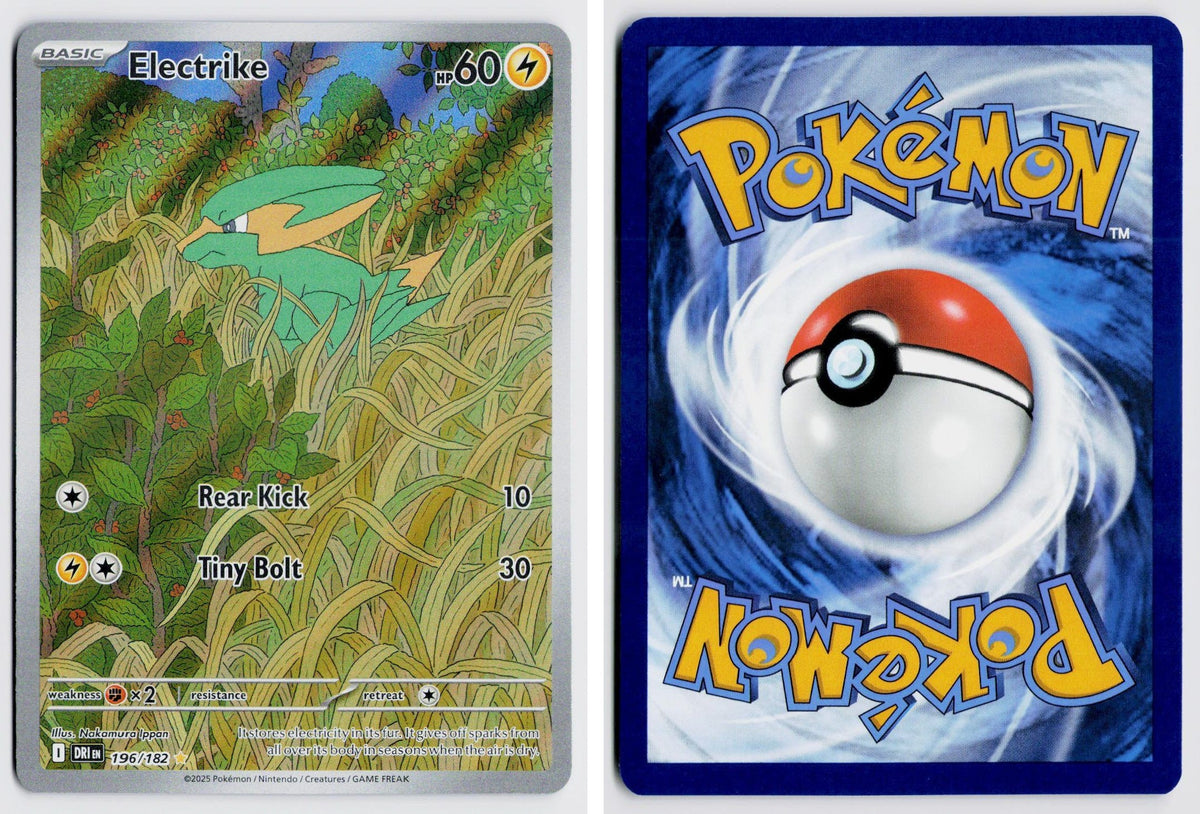 Front + Back scan