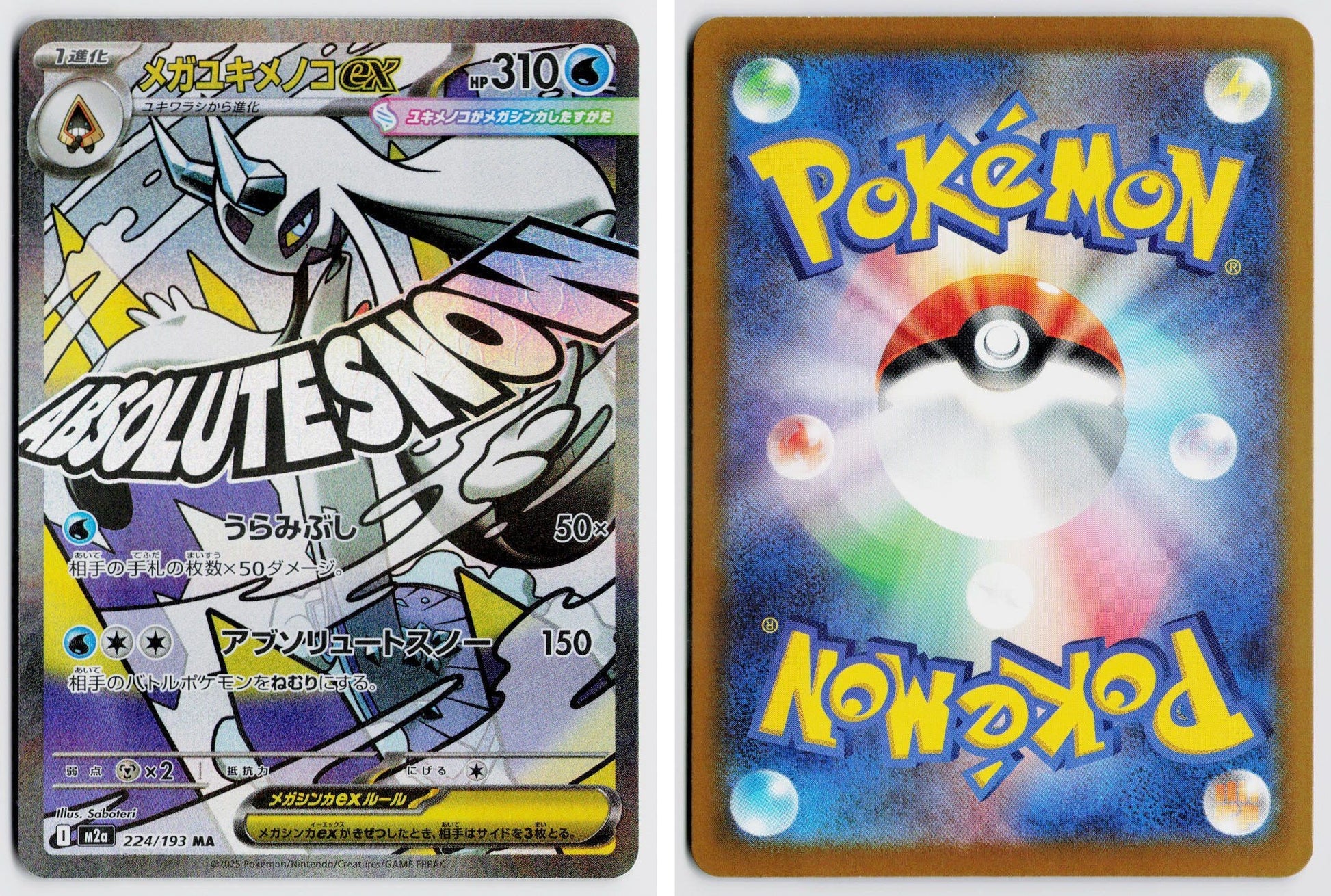 Front + Back scan
