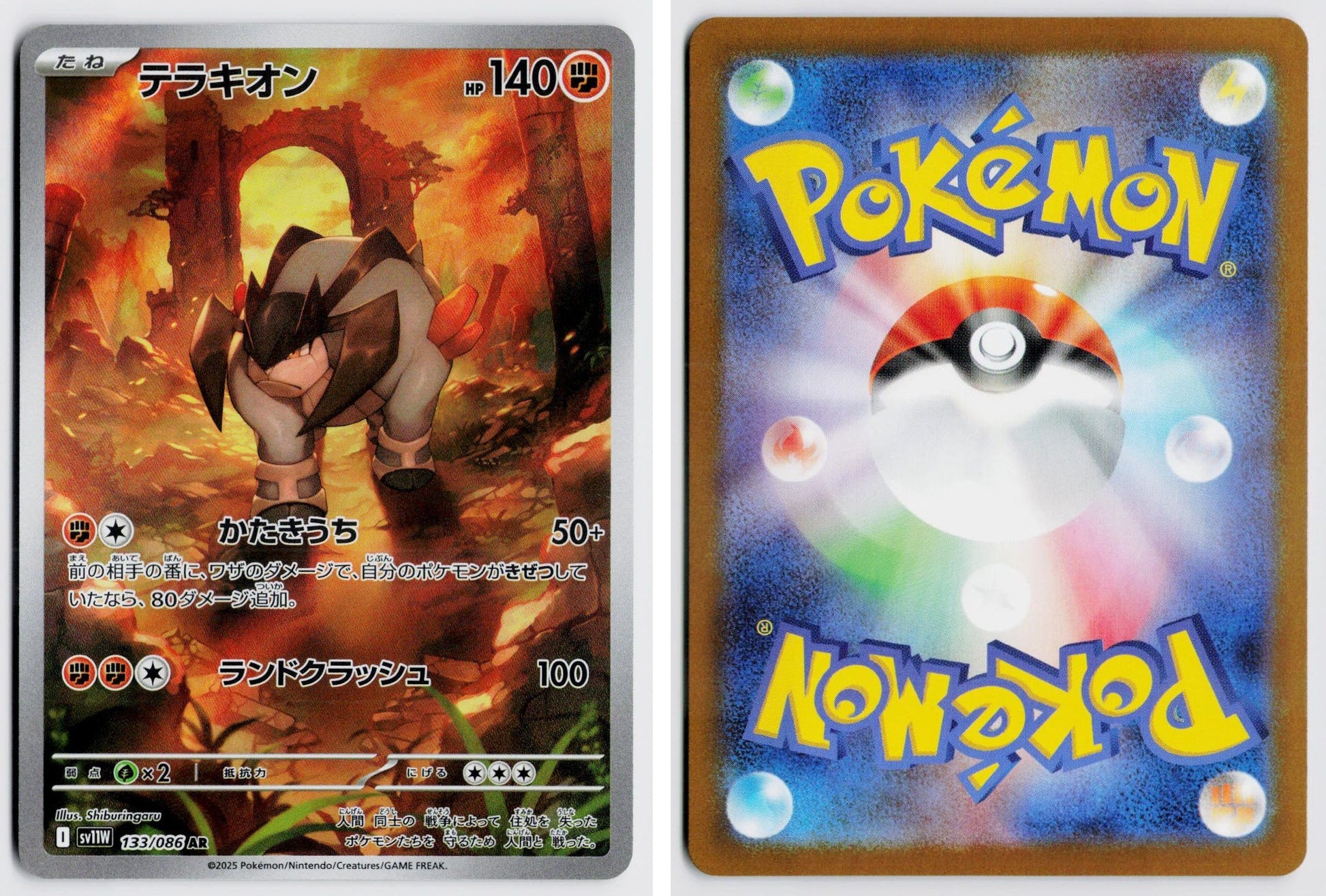 Front + Back scan