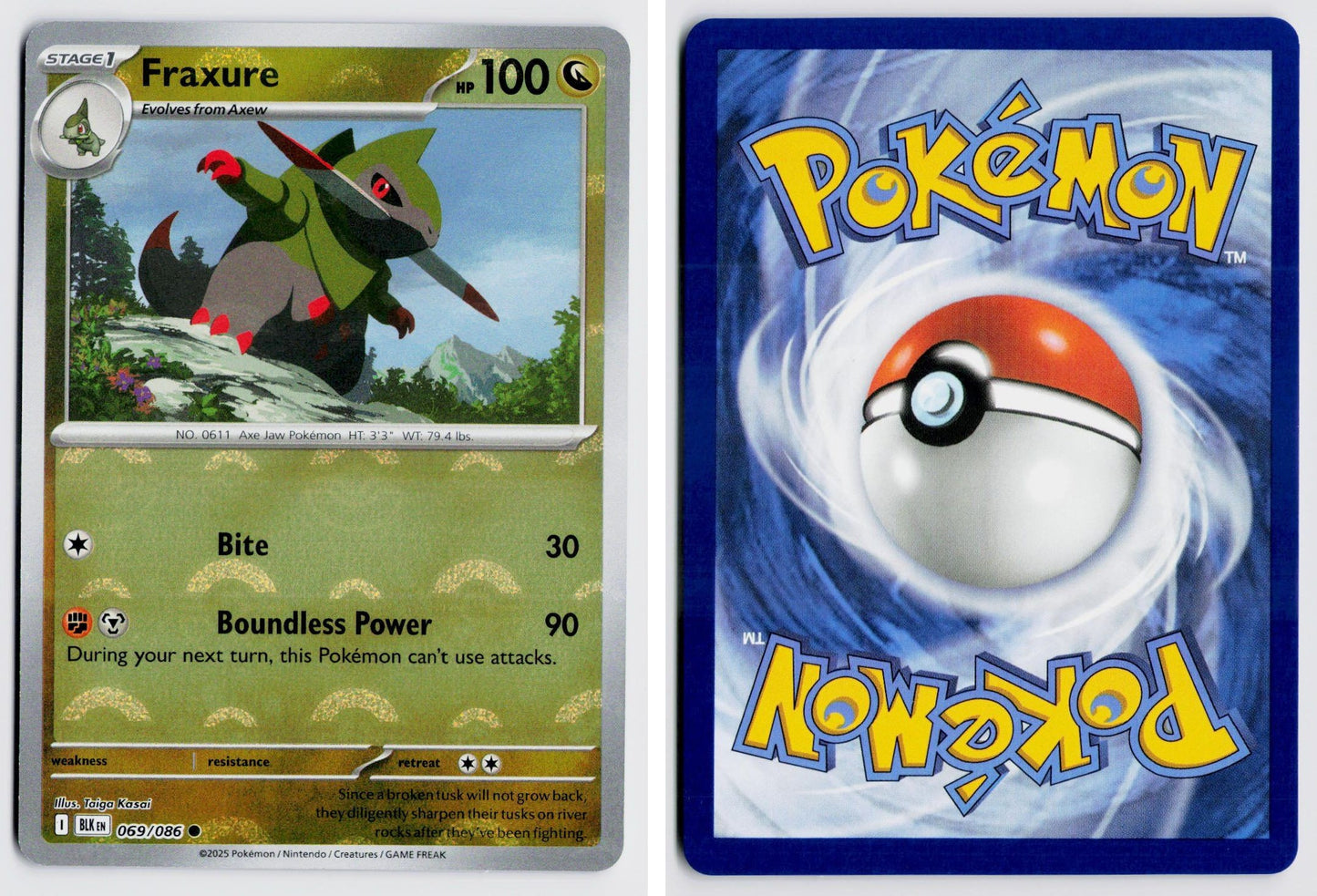 Front + Back scan
