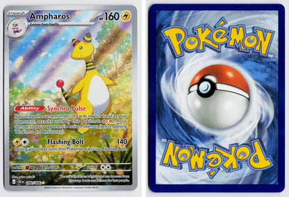 Front + Back scan