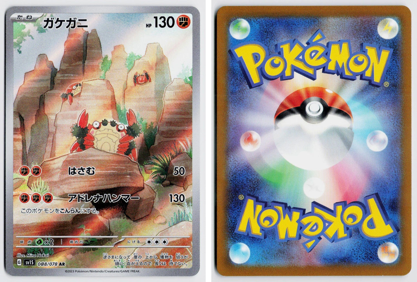 Front + Back scan