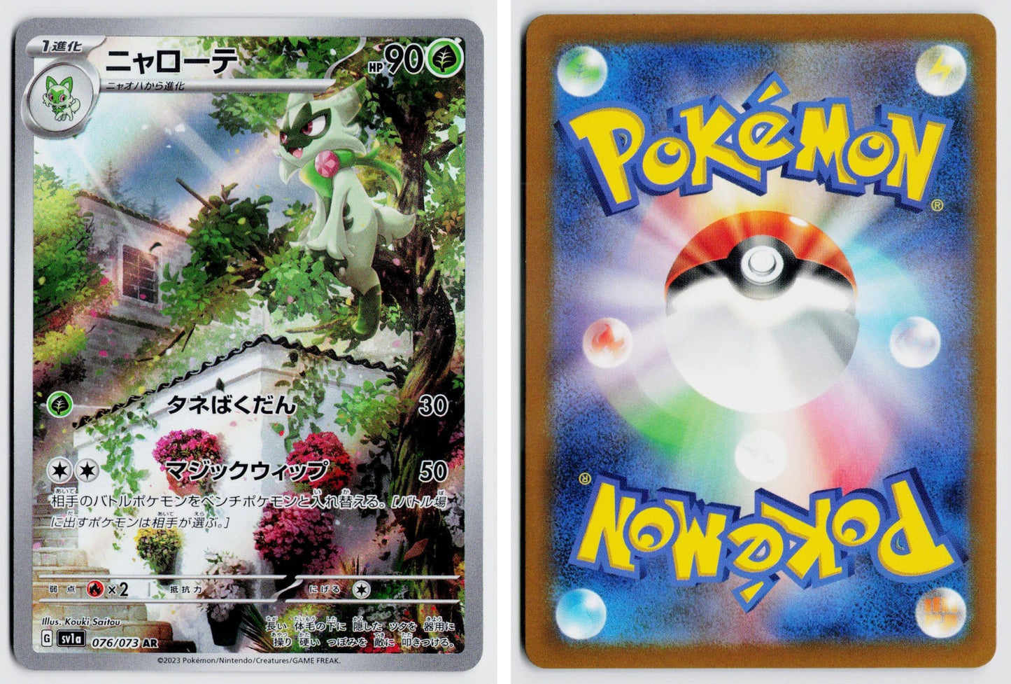 Front + Back scan