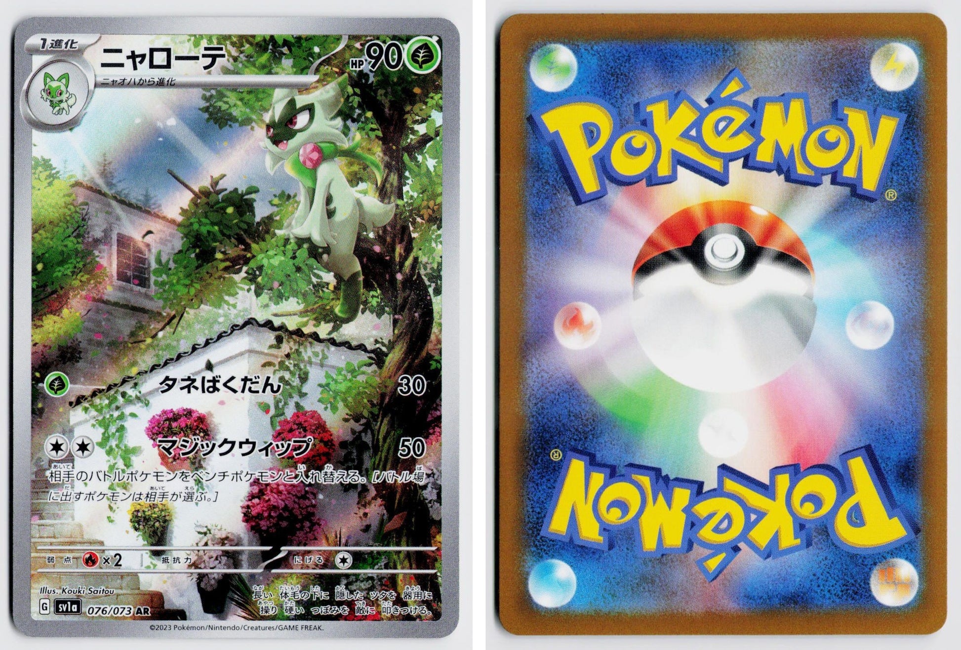 Front + Back scan