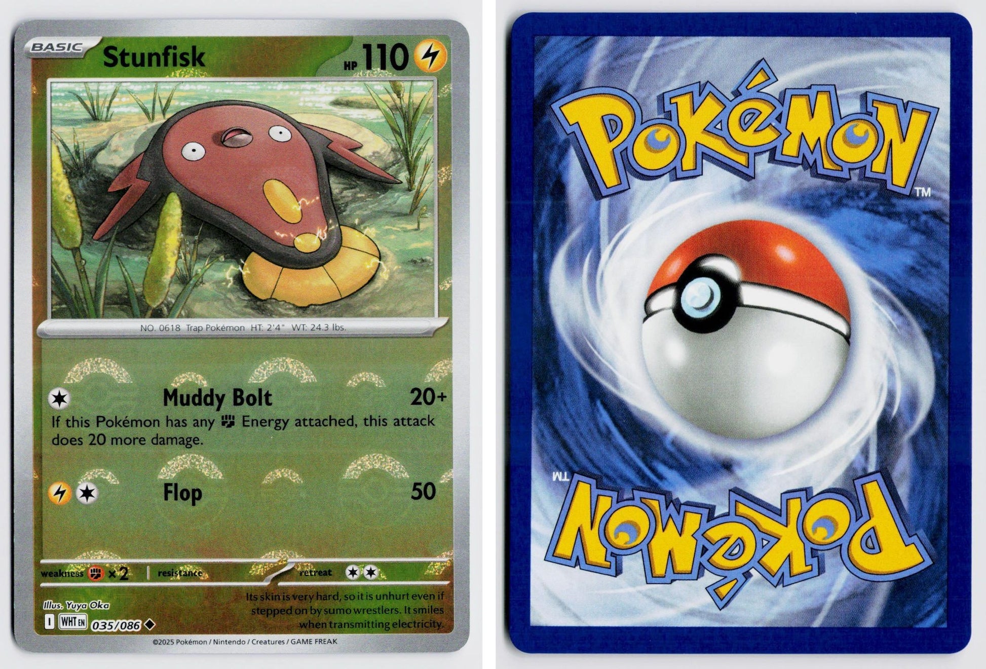 Front + Back scan