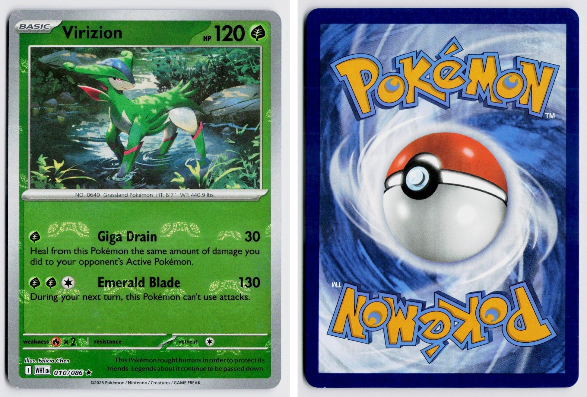 Front + Back scan
