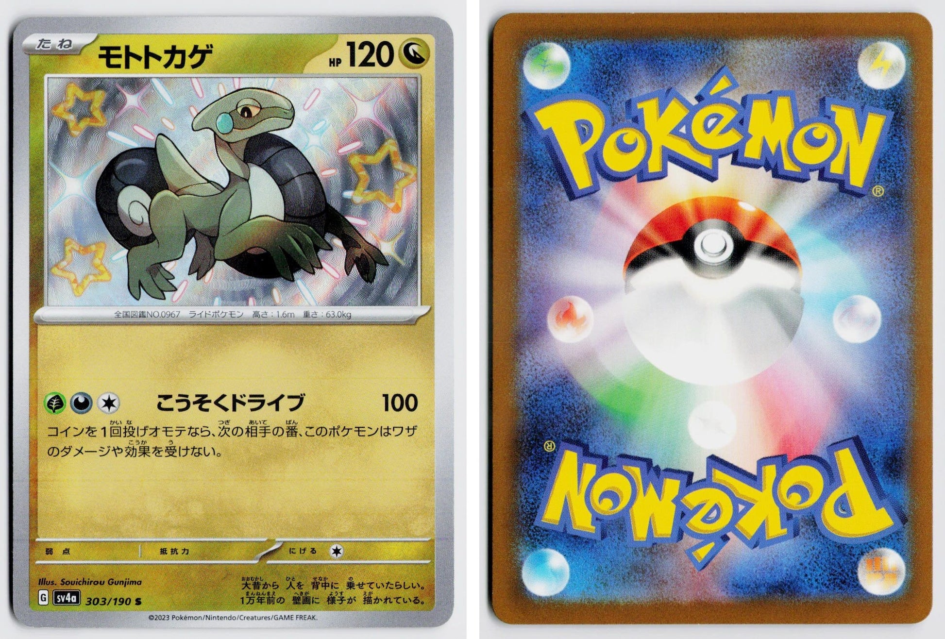 Front + Back scan