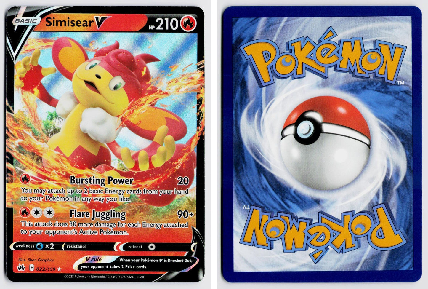 Front + Back scan