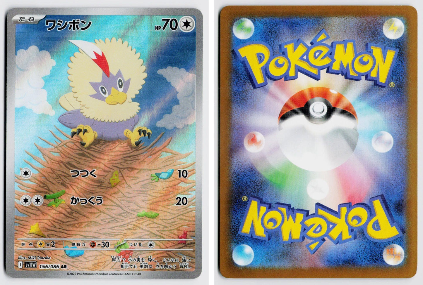 Front + Back scan