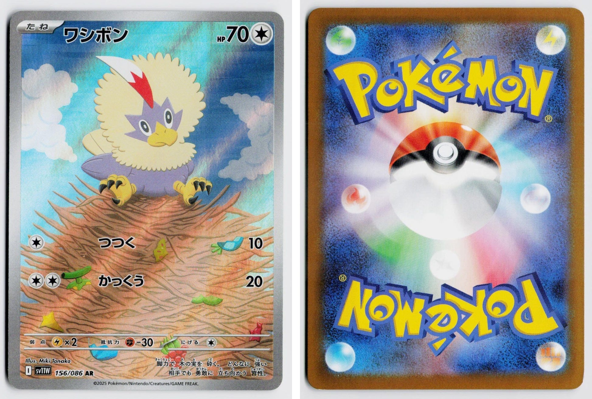 Front + Back scan