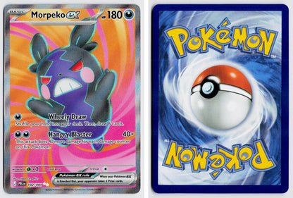 Front + Back scan