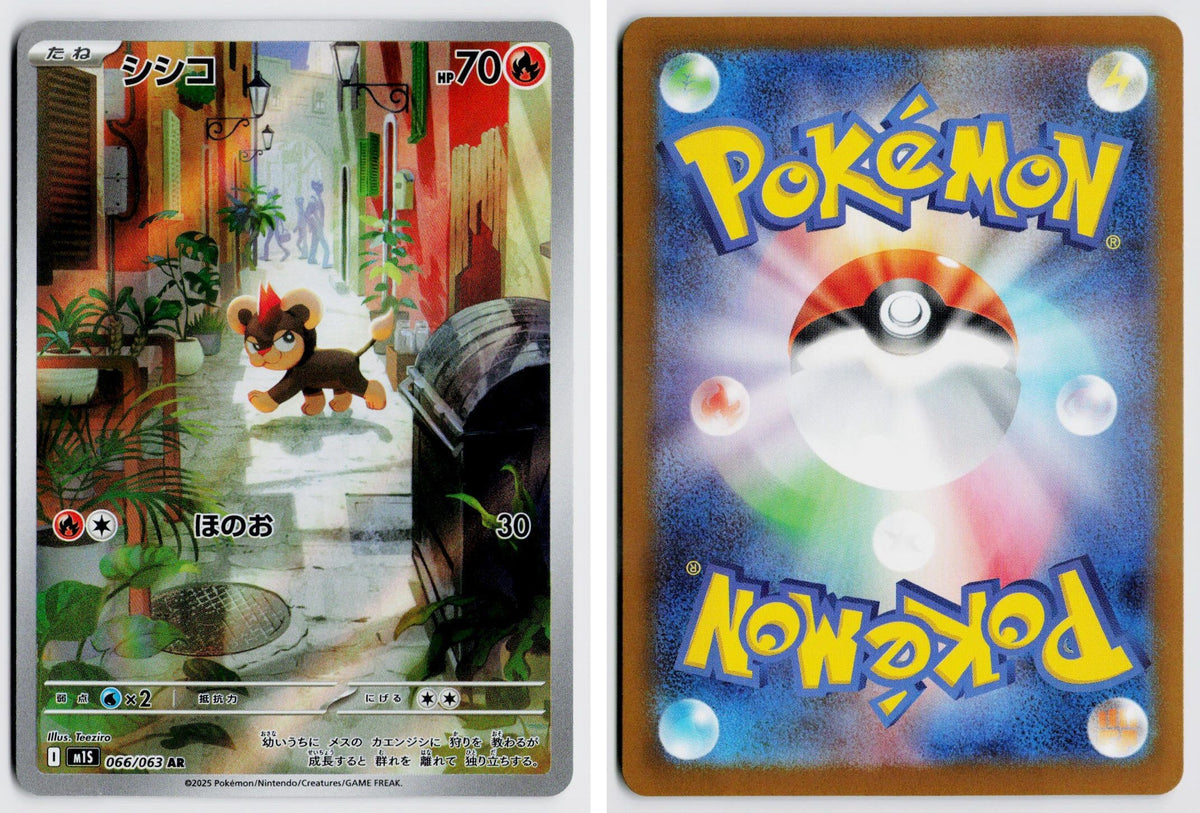 Front + Back scan