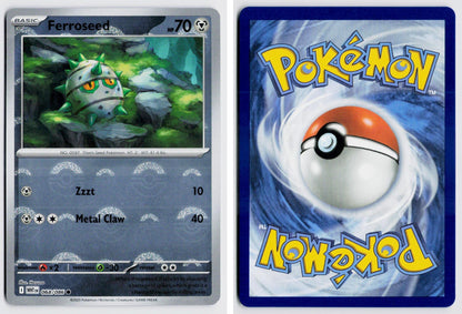 Front + Back scan