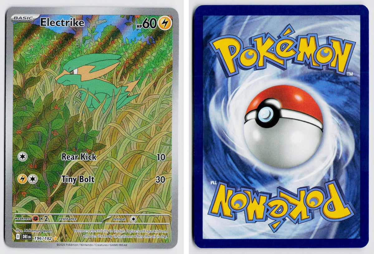Front + Back scan