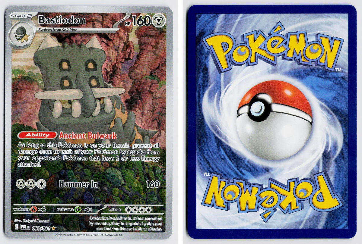 Front + Back scan