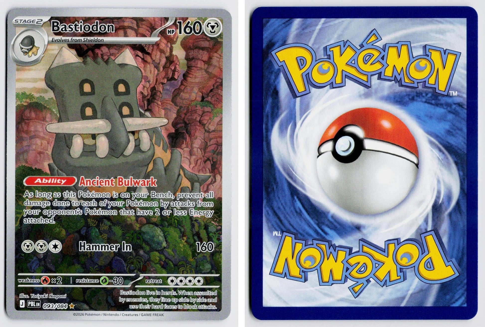 Front + Back scan