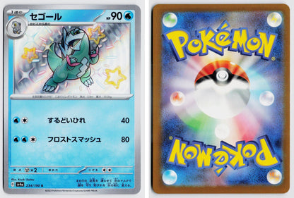 Front + Back scan