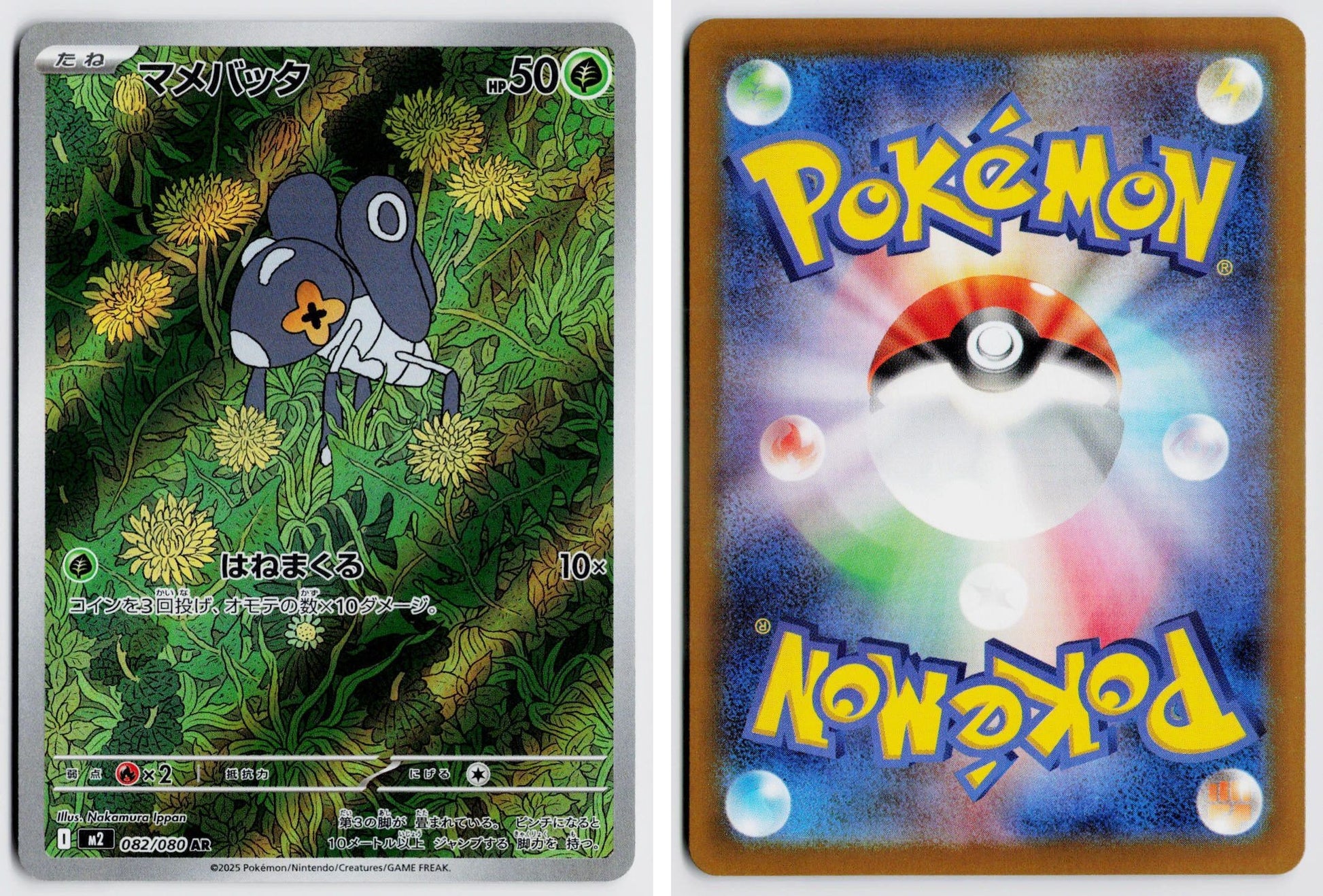 Front + Back scan