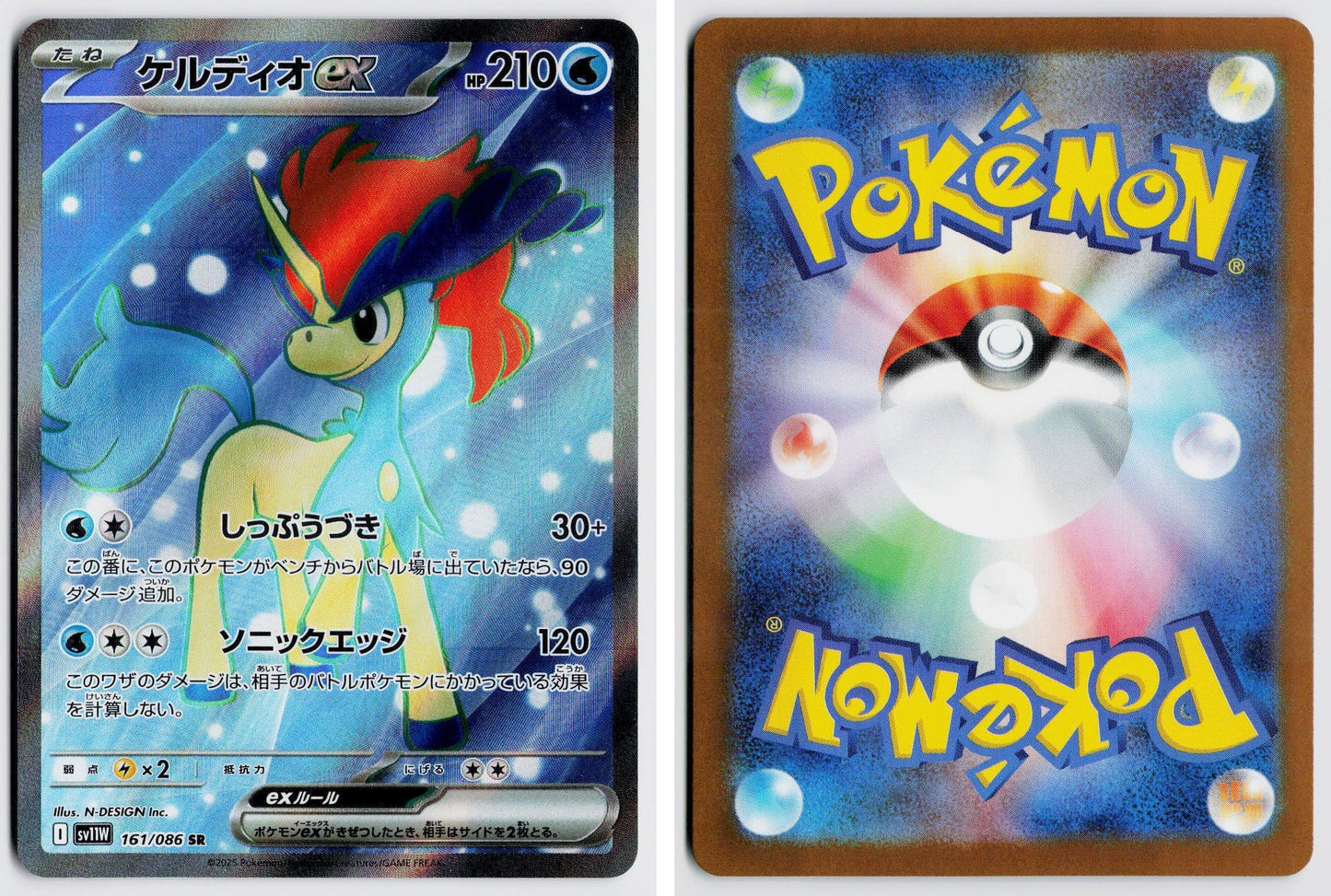 Front + Back scan