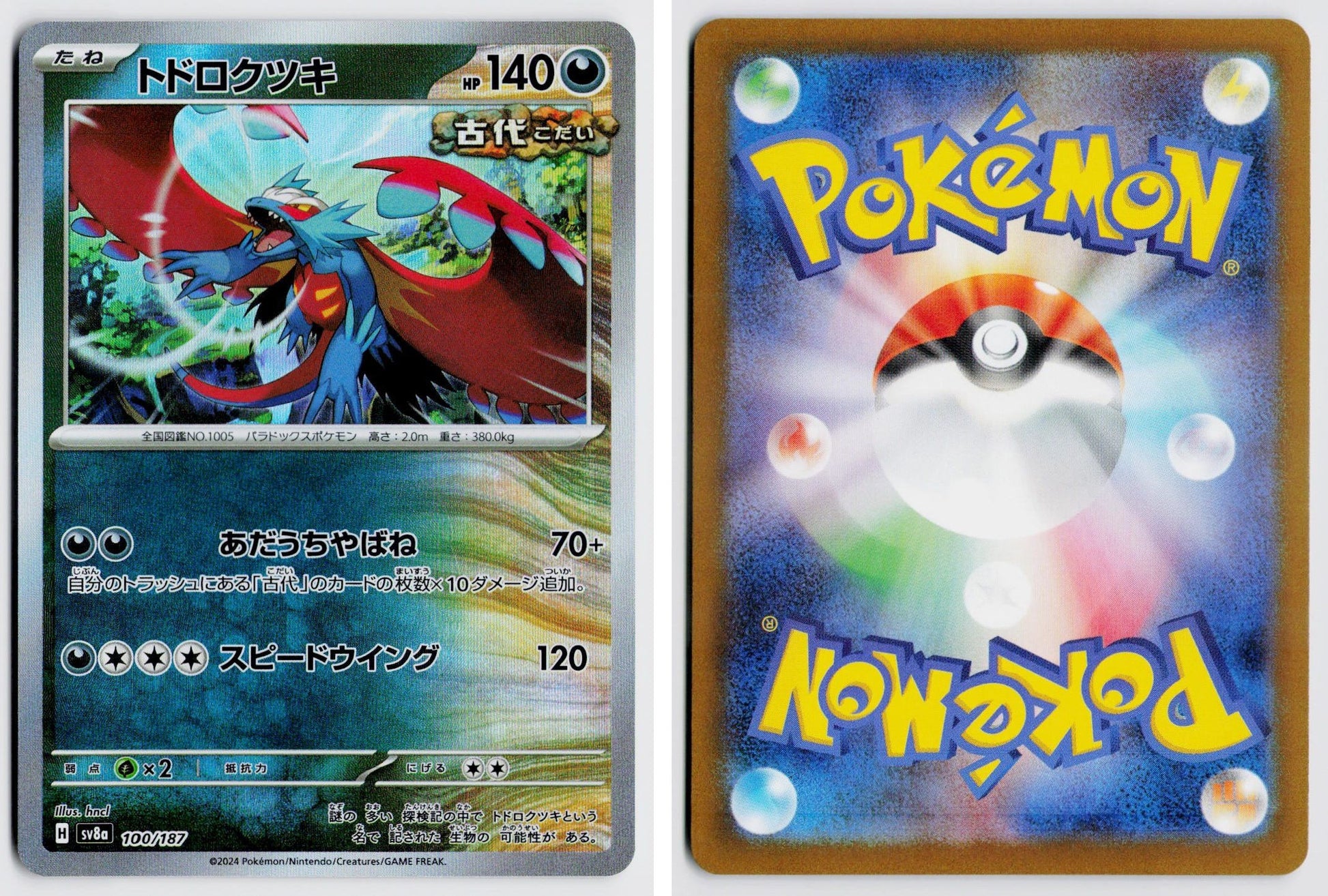 Front + Back scan