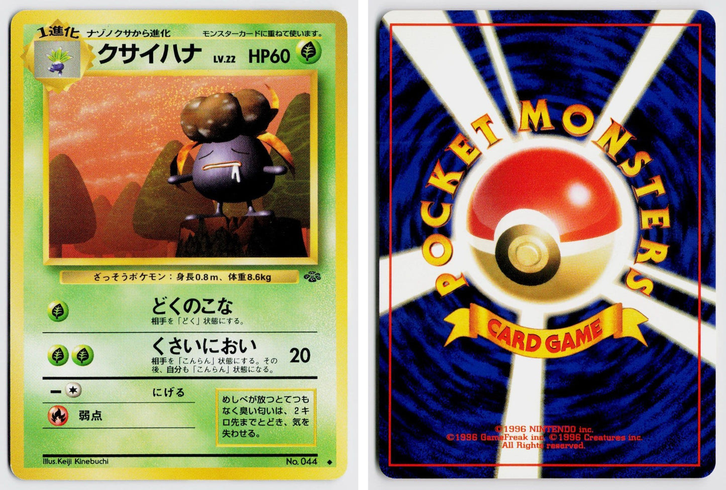 Front + Back scan