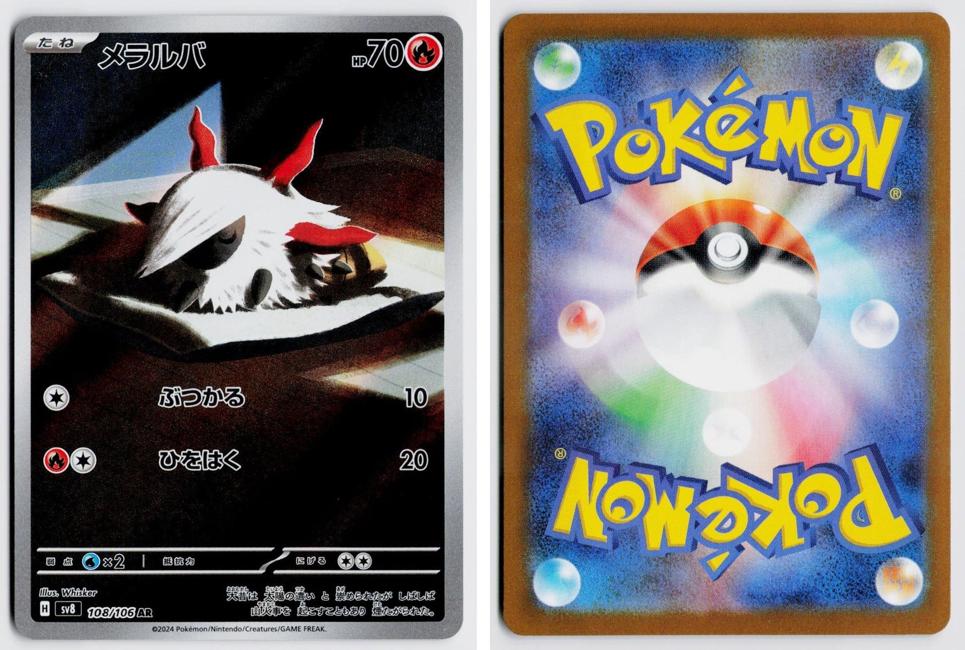Front + Back scan