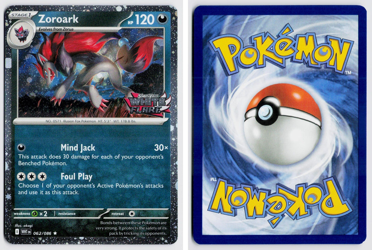 Front + Back scan