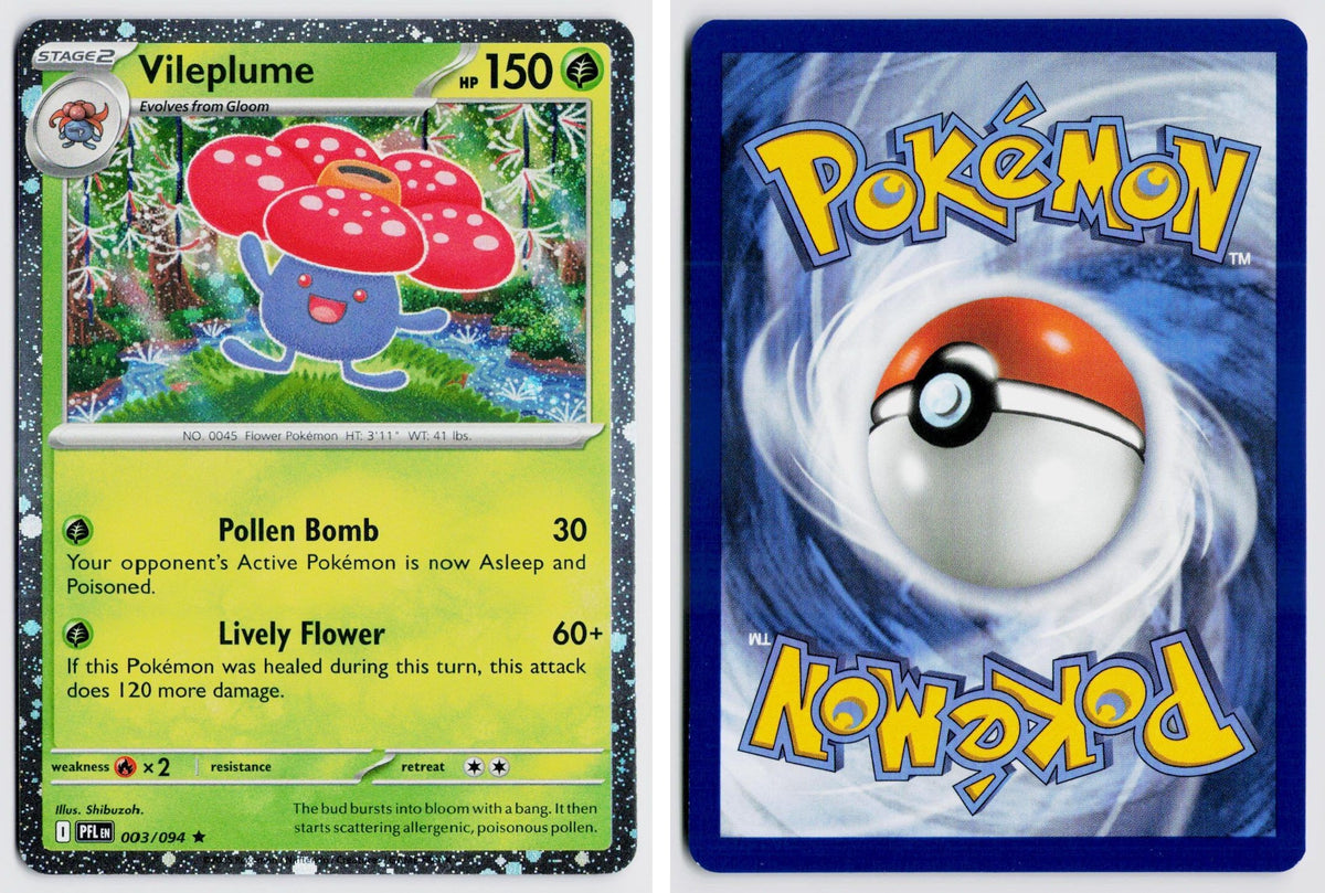Front + Back scan