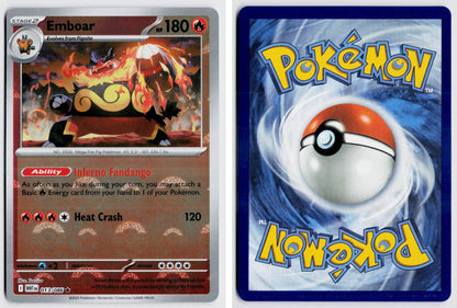 Front + Back scan