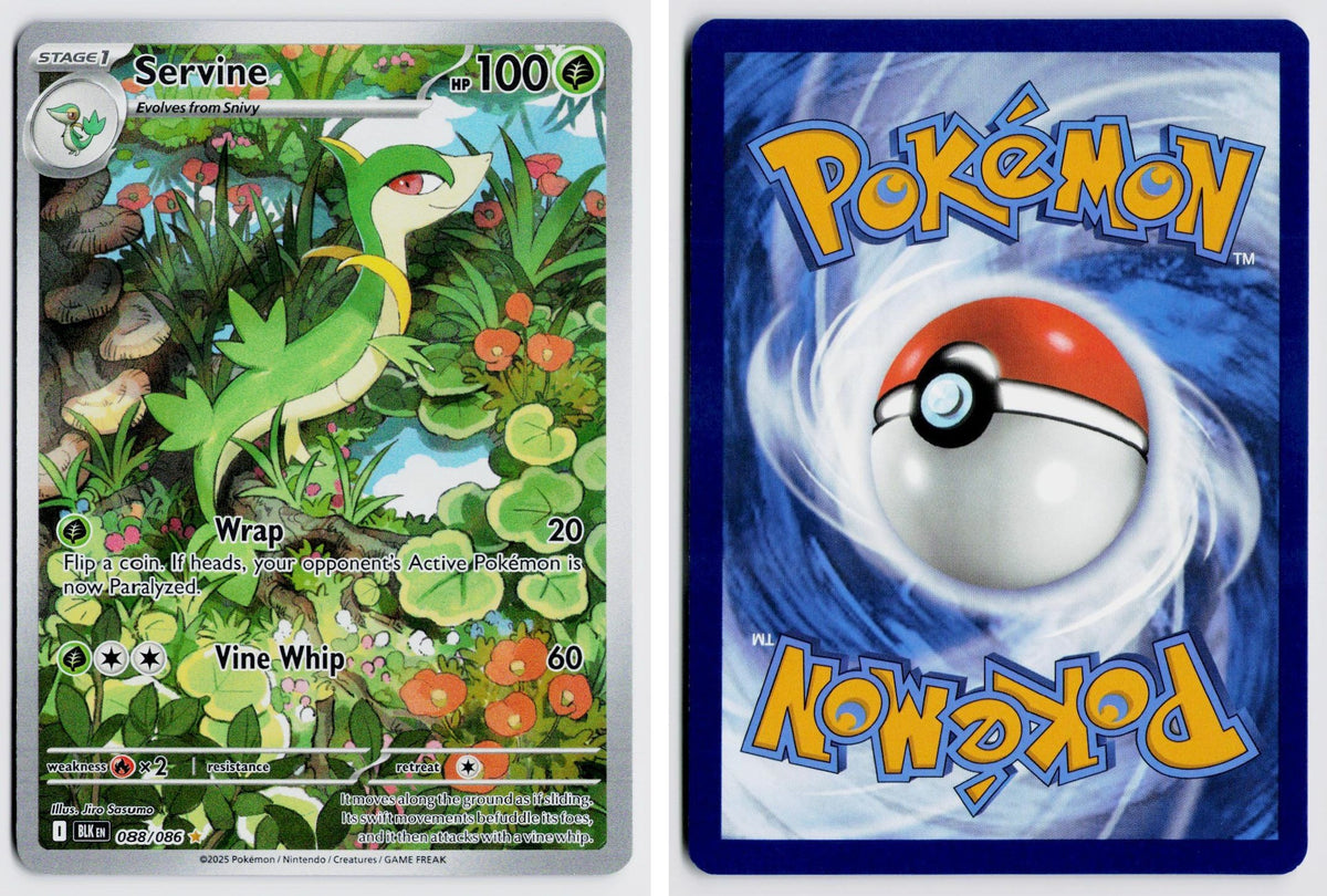 Front + Back scan | Near Mint