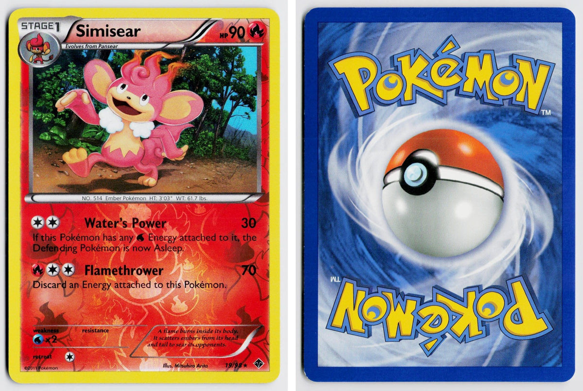 Front + Back scan