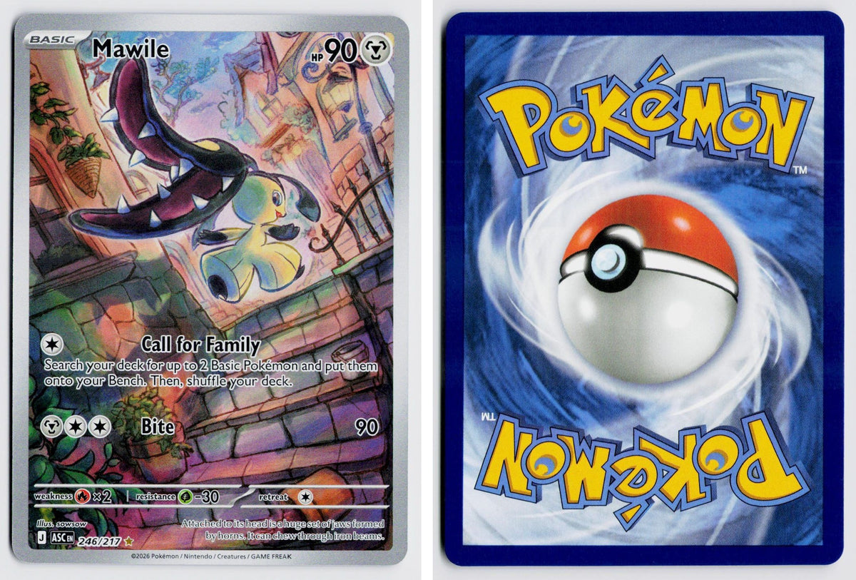 Front + Back scan