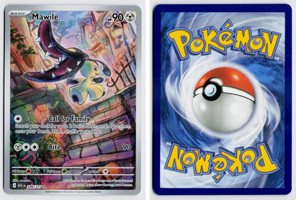 Front + Back scan