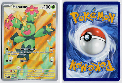 Front + Back scan