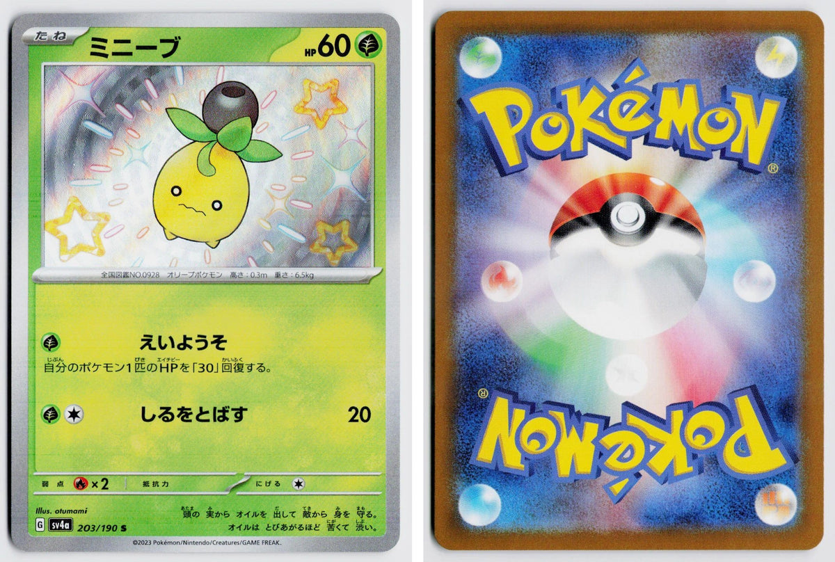 Front + Back scan