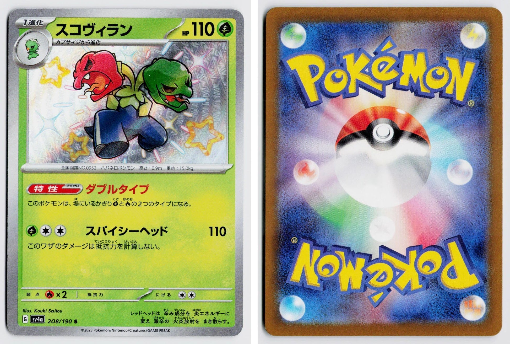 Front + Back scan