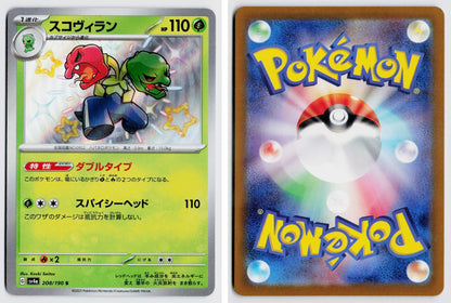 Front + Back scan