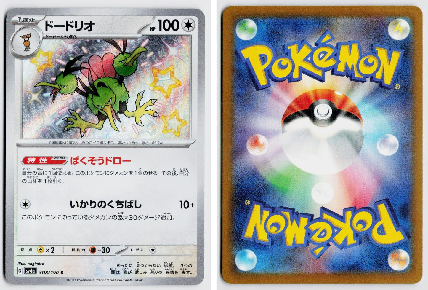 Front + Back scan