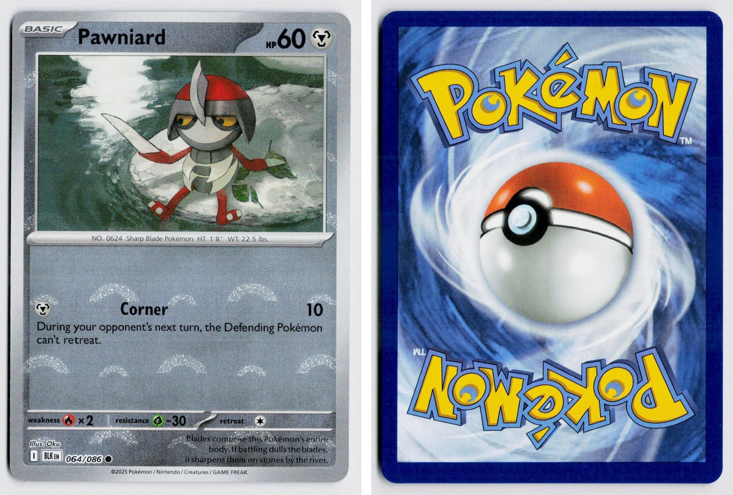 Front + Back scan