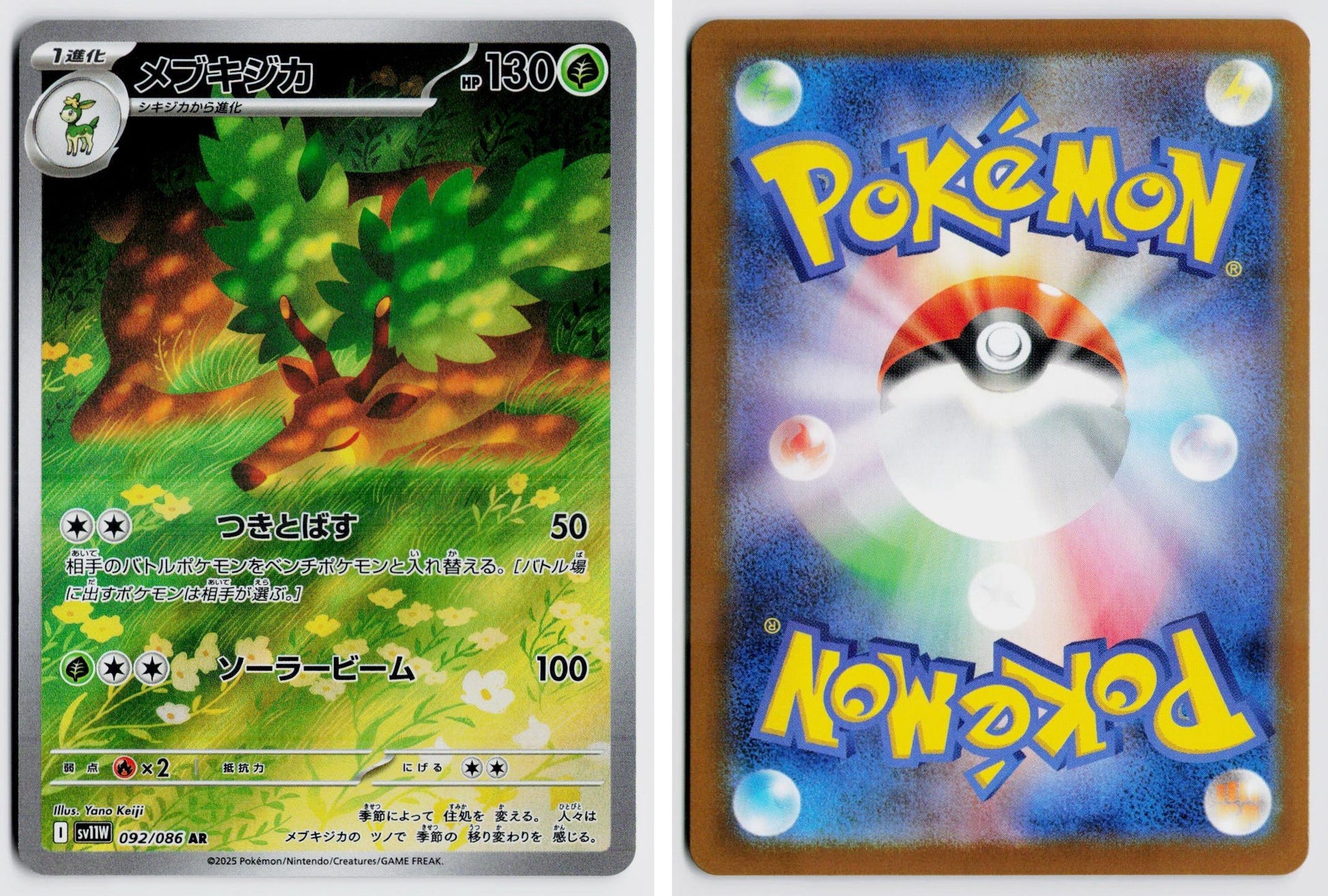 Front + Back scan